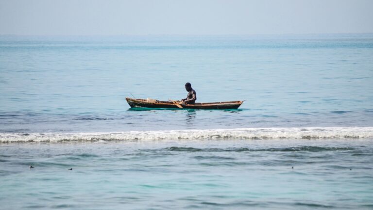 The Aftermath of Mullin v. Doe: Better Protections Needed for Climate-Displaced Haitians