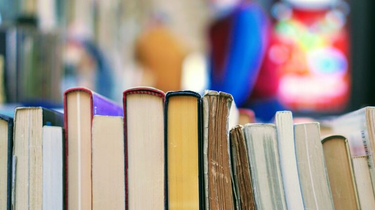 “Government is not banning books”: book ban legislation makes its first appearance in Canada