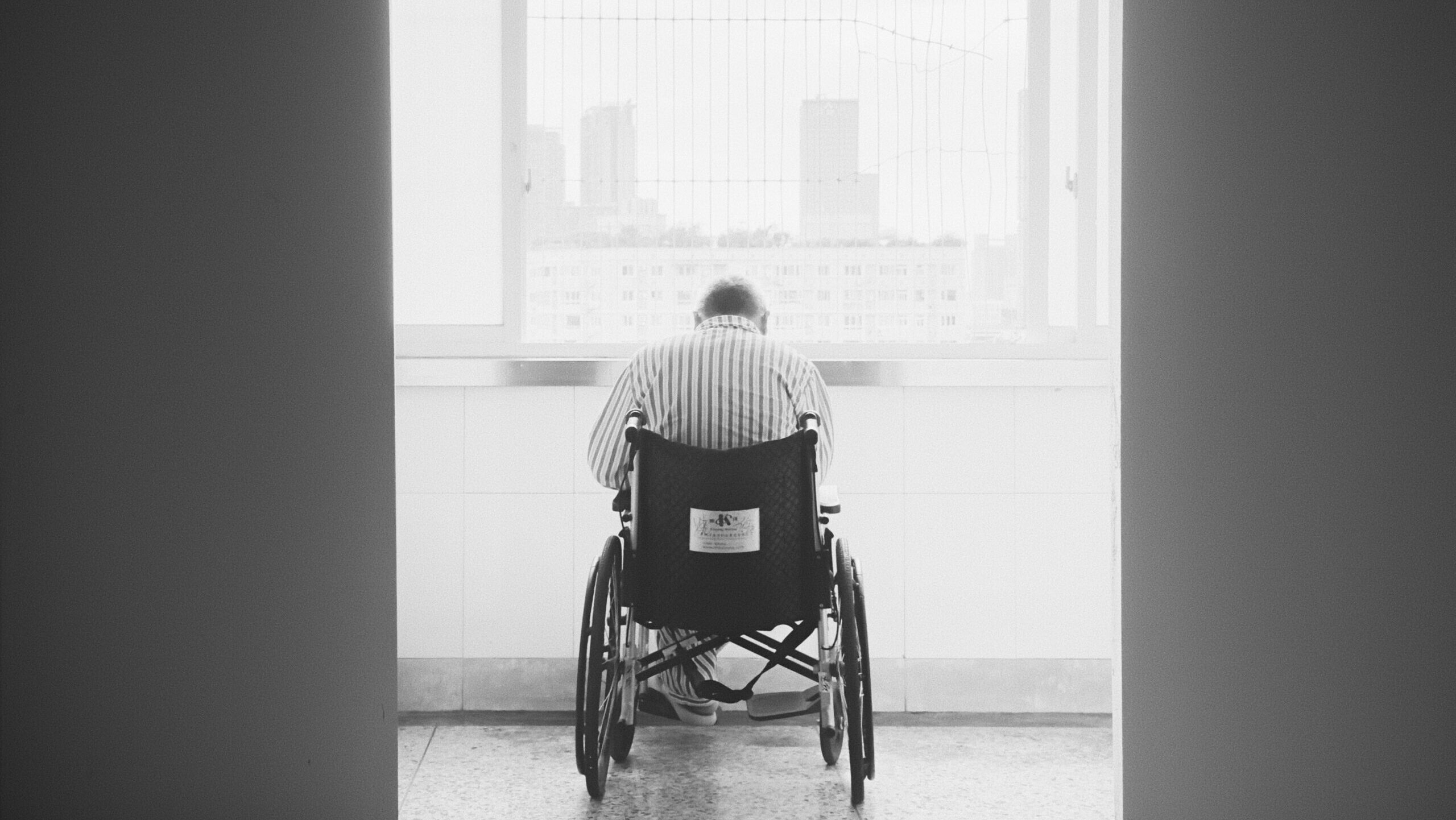 li-lin-jQSHWuuG1Pc-unsplash