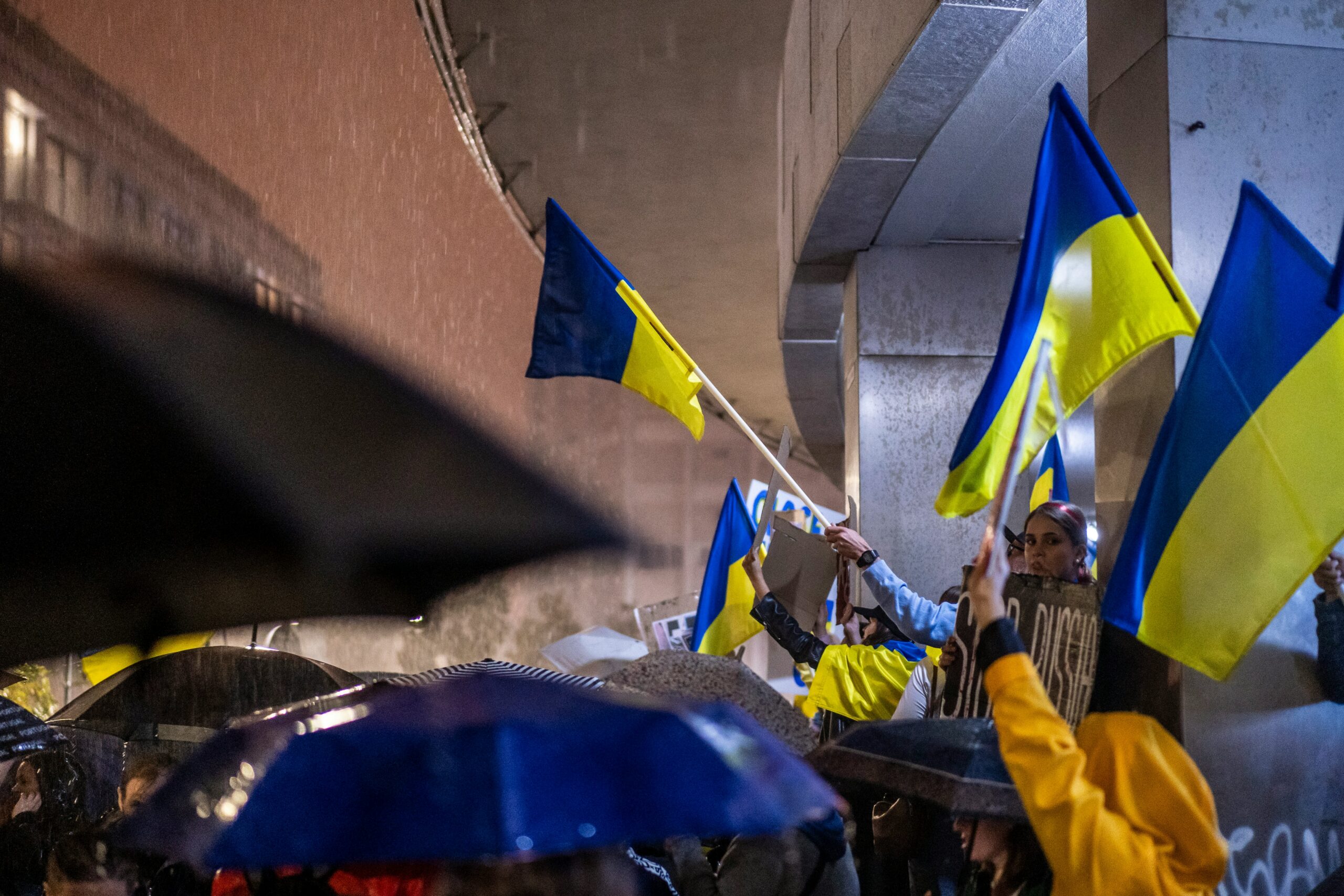 EU v Ukrainian Men: On the Way to Human Rights Violations