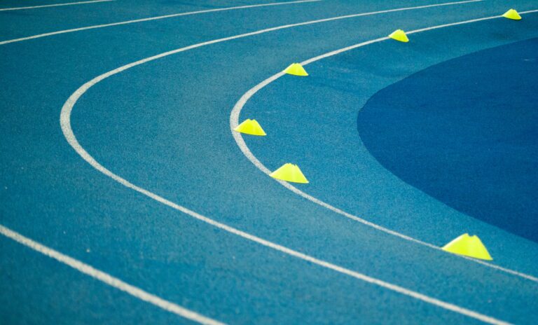 Beyond the Binary: Judicial Review of Transgender Athlete Bans