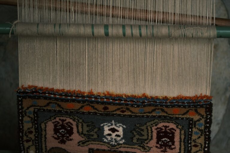 The Loom in the Black Tent: Iranian Nomadic Women and the Right to Cultural Life